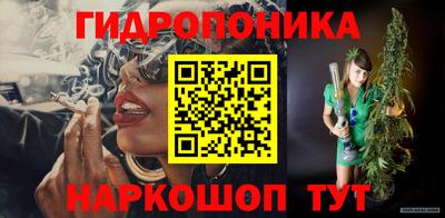 ECSTASY Обь