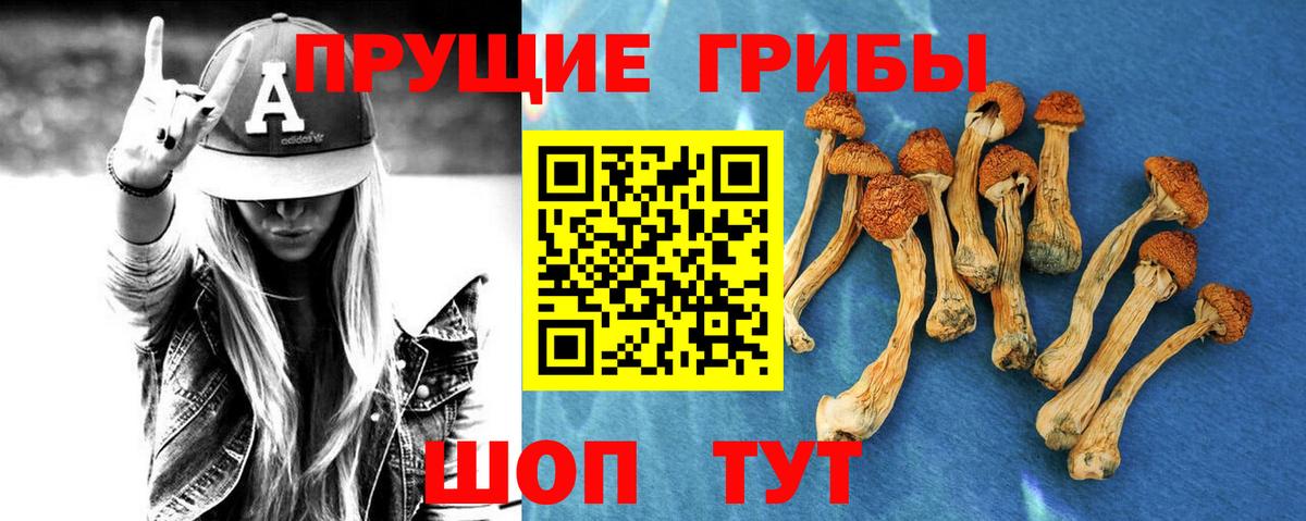 Псилоцибиновые грибы Psilocybine cubensis  Вход с VPN  Псилоцибиновые грибы Magic Shrooms  Новомосковск 